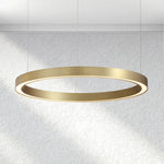 Carey Auraloop Chandelier