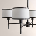 Lizs 4-Light Round Chandelier